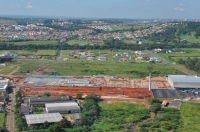 buriti02.jpg